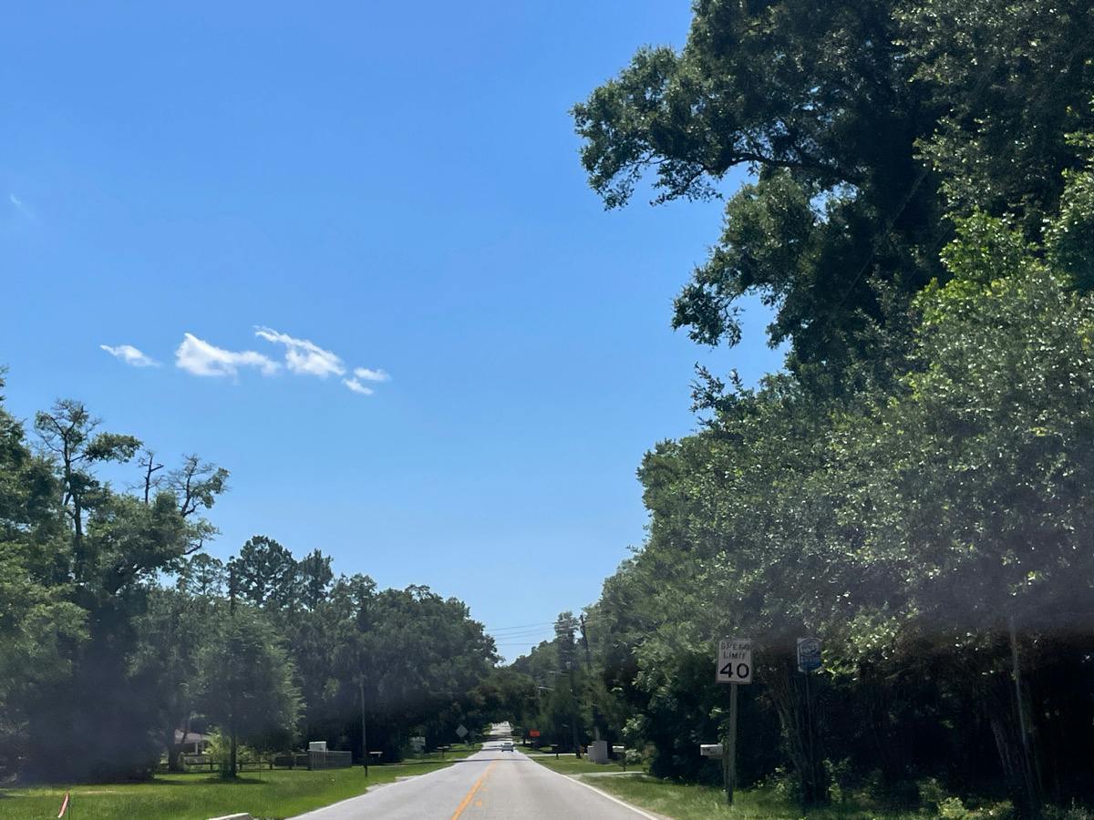 Overlook Rd, Mobile, AL 36618