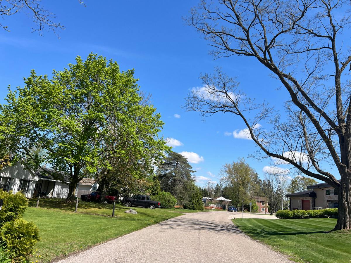 Fieldview Ave, West Bloomfield, MI 48324