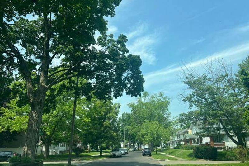 Gondert Ave, Dayton, OH 45403
