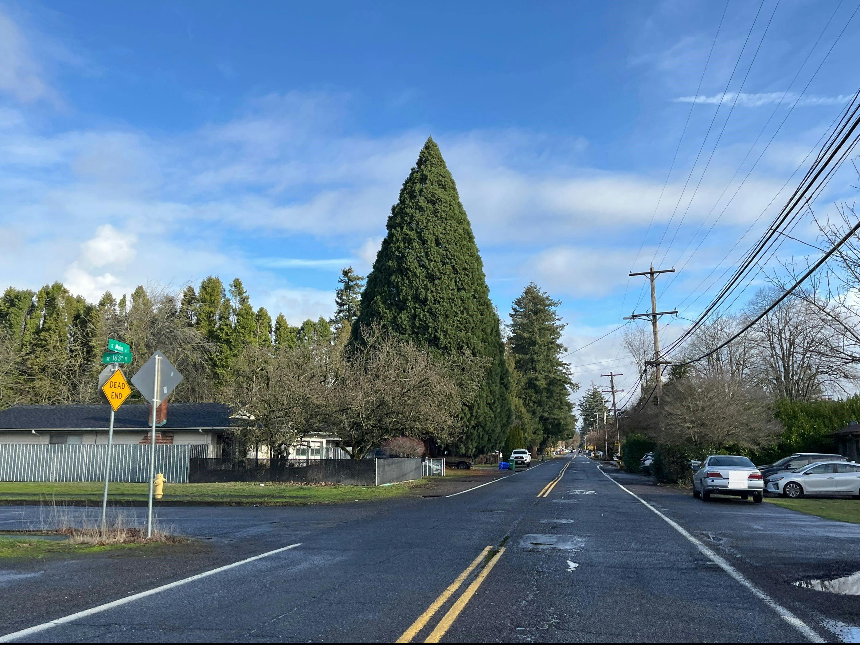 Main St, Portland, OR 97233