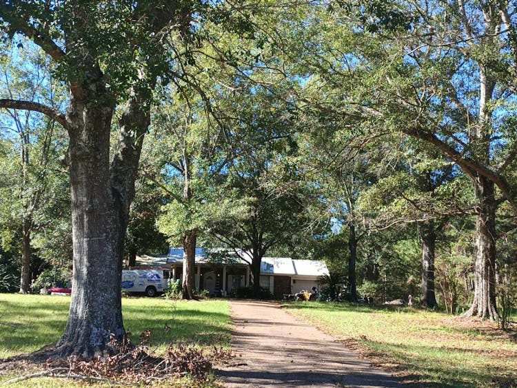 619 Highway 29 Wiggins, MS 39577, Stone County