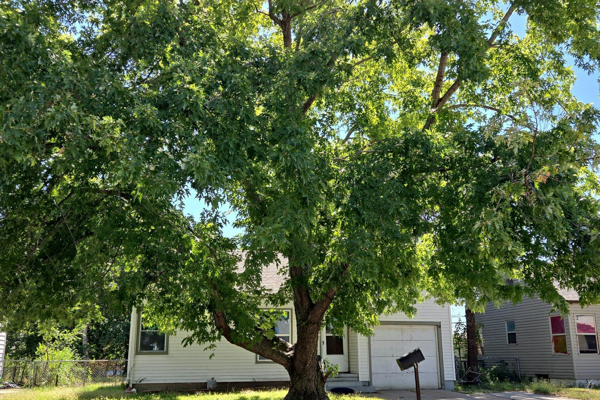 Kinkaid St, Wichita, KS 67213 #1