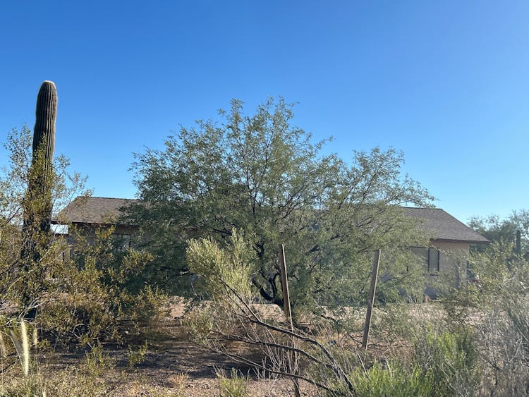 5725 W Bopp Road Tucson, AZ 85735, Pima County