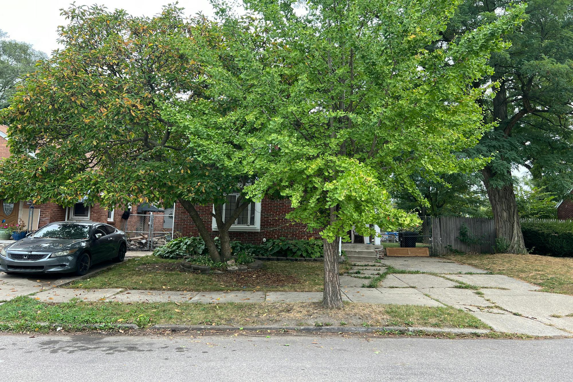 Cloverlawn St, Detroit, MI 48204 #1