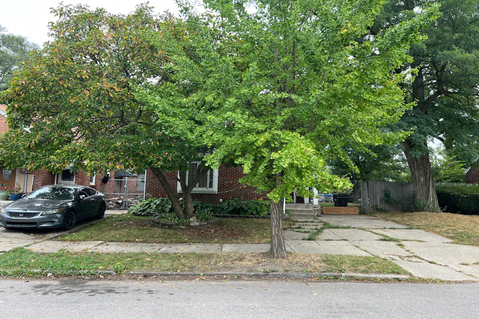 8594 Cloverlawn Detroit, MI 48204, Wayne County