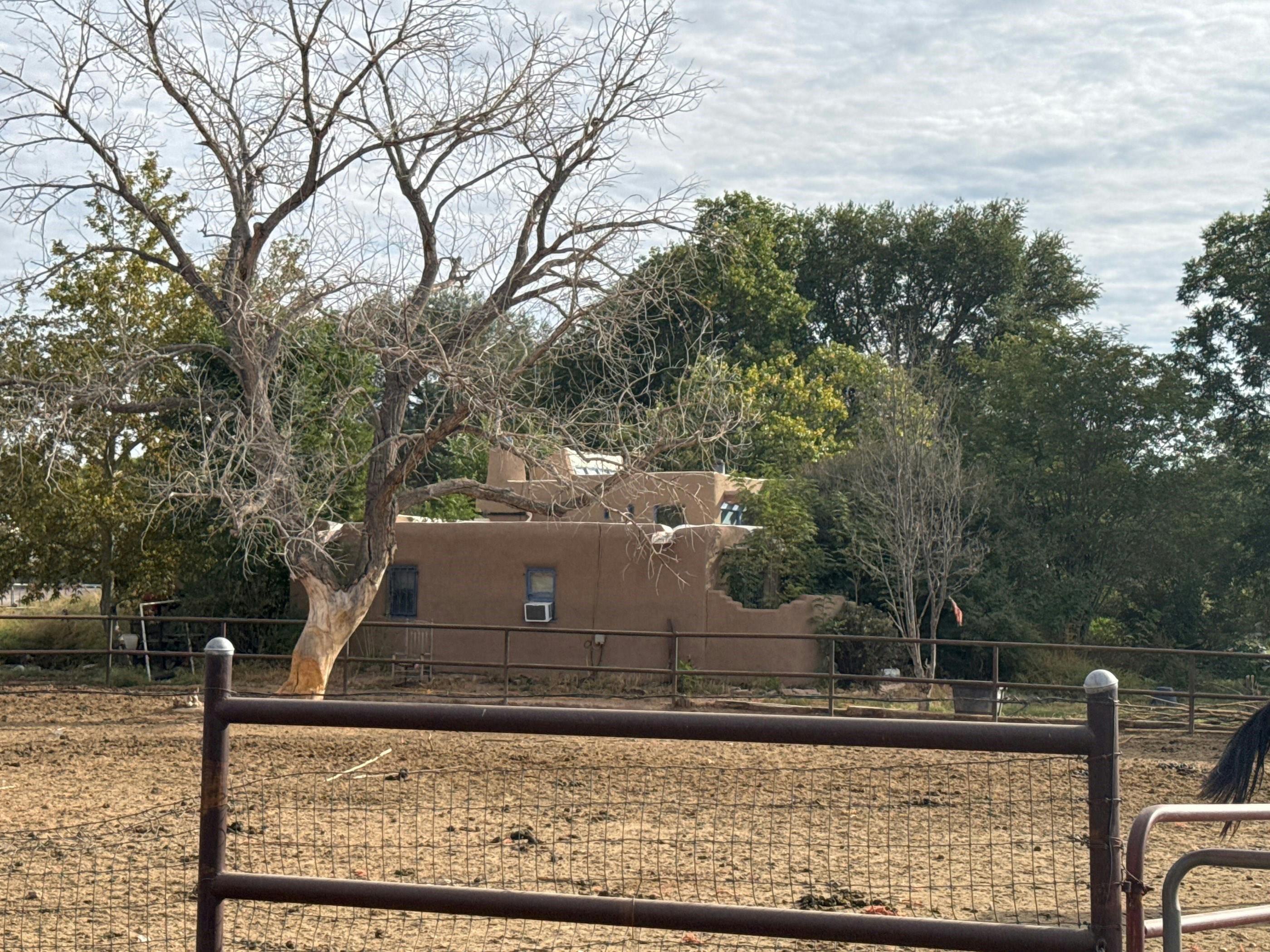 Camino DE Los Chavez , Belen, NM 87002 #1
