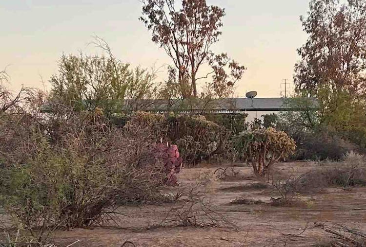 18345 W Danbury St Casa Grande, AZ 85193, Pinal County