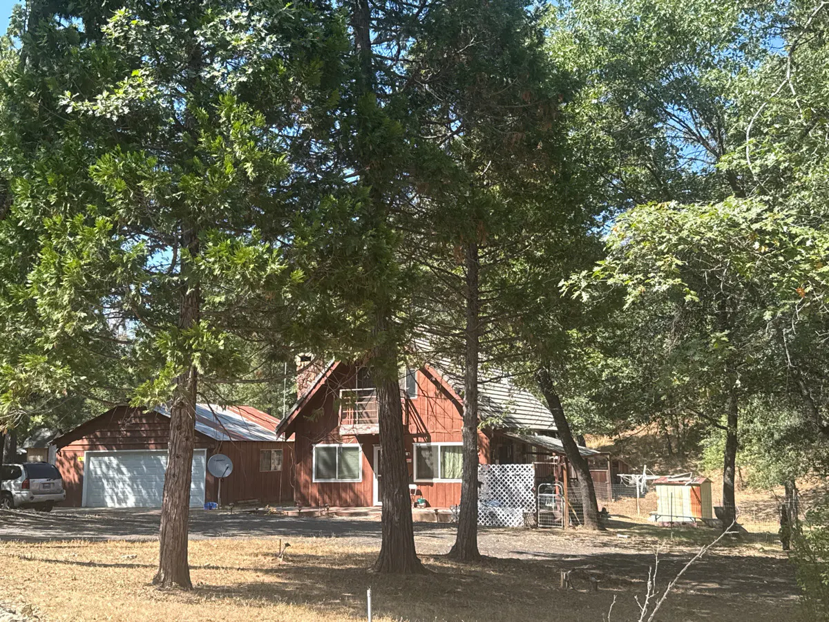 Dexter Rd, Coulterville, CA 95311 #1