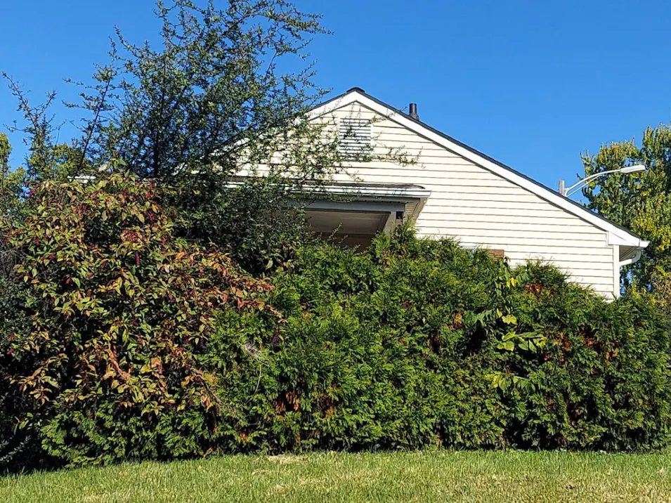 6 W H St Brunswick, MD 21716, Frederick County