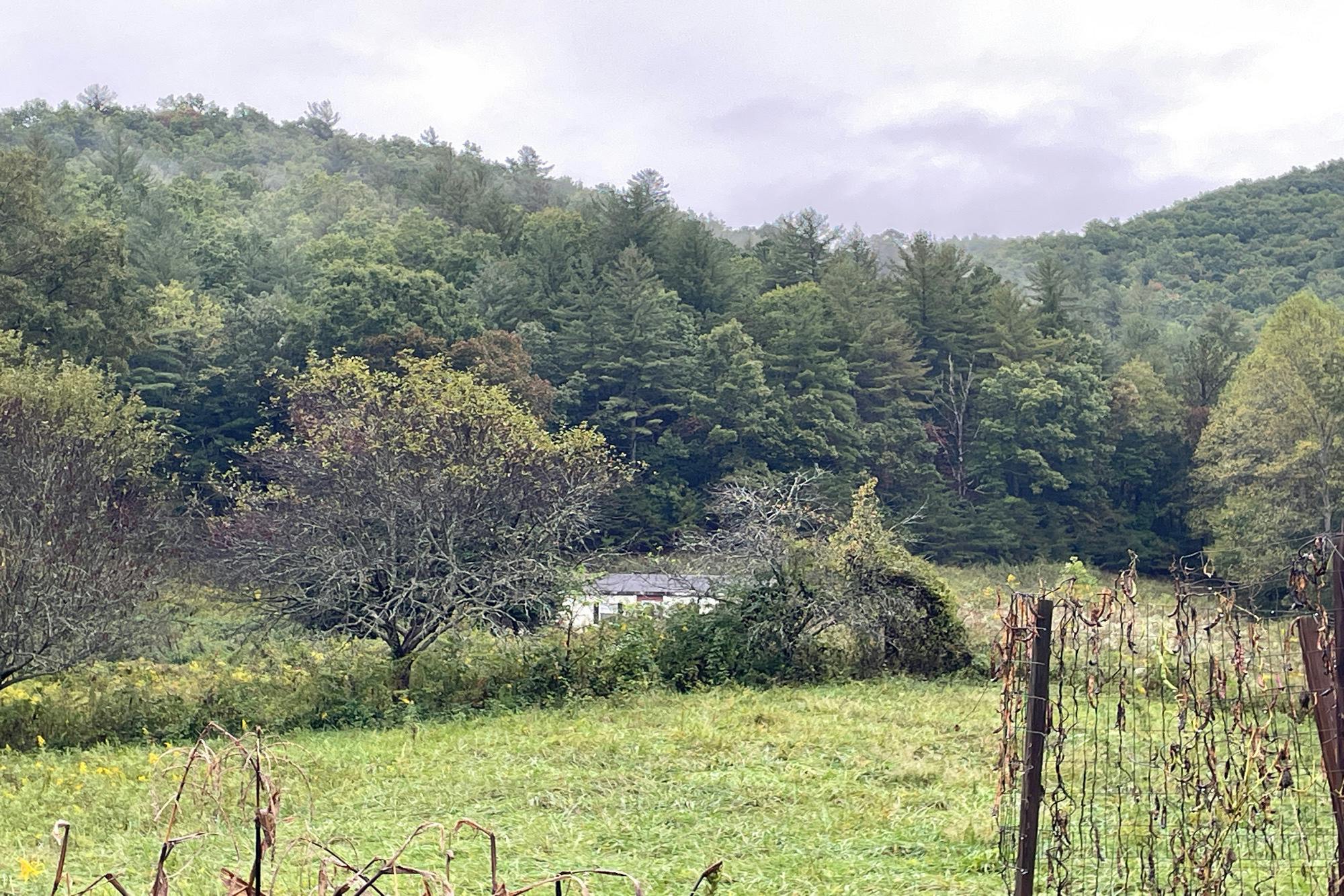 Yellow Creek Rd, Robbinsville, NC 28771 #1