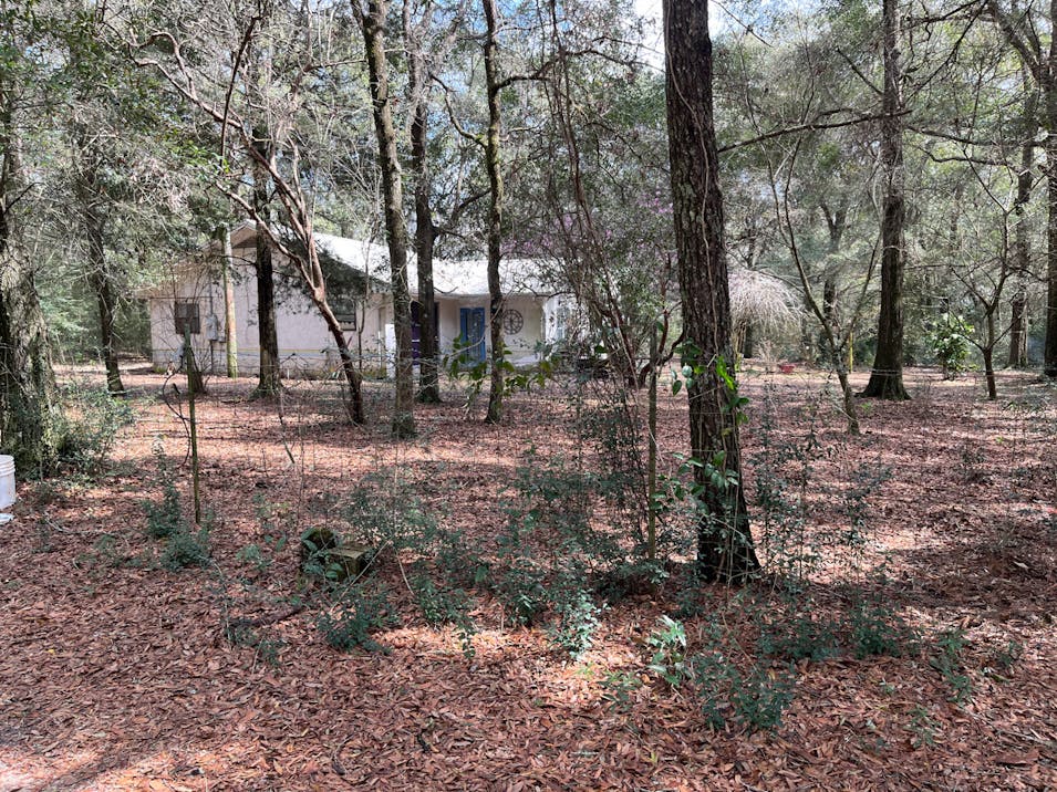 92 Hummingbird Ln Ponce De Leon, FL 32455, Walton County