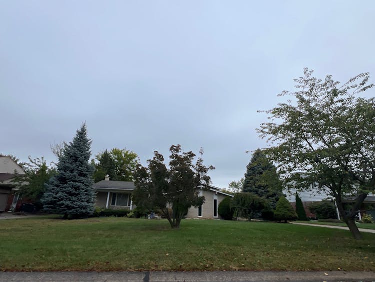 36634 Saxony Rd Farmington, MI 48335, Oakland County