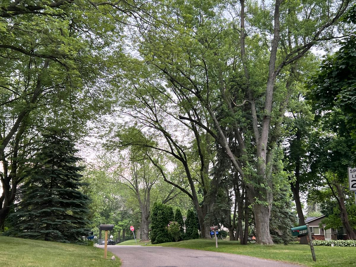 Welland Dr, West Bloomfield, MI 48323