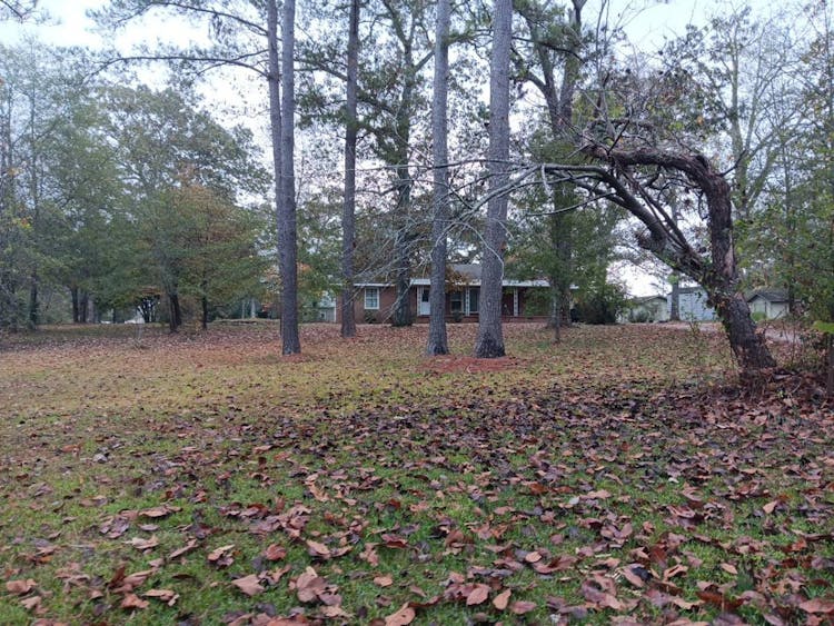 14853 Keeple Loop Cottondale, AL 35453, Tuscaloosa County