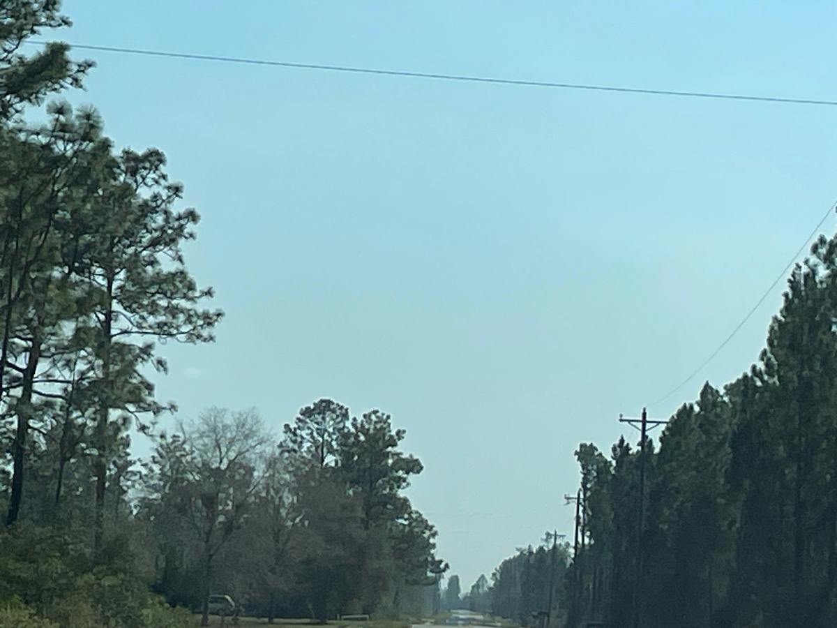 Isoletta Ln, Altha, FL 32421