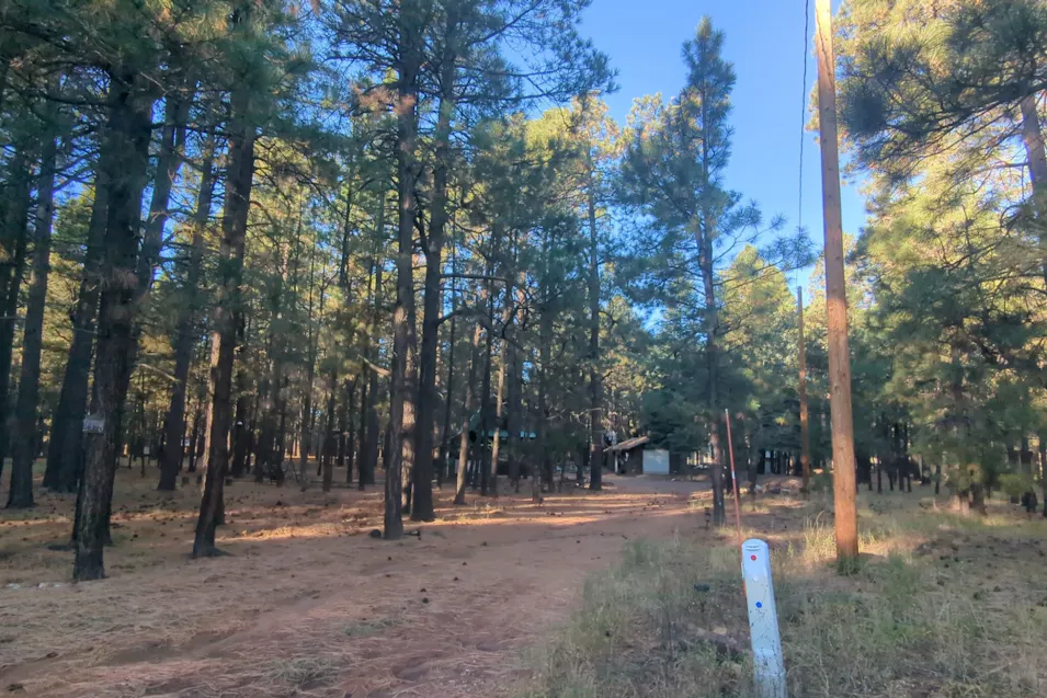 2368 Boss Lane Forest Lakes, AZ 85931, Coconino County