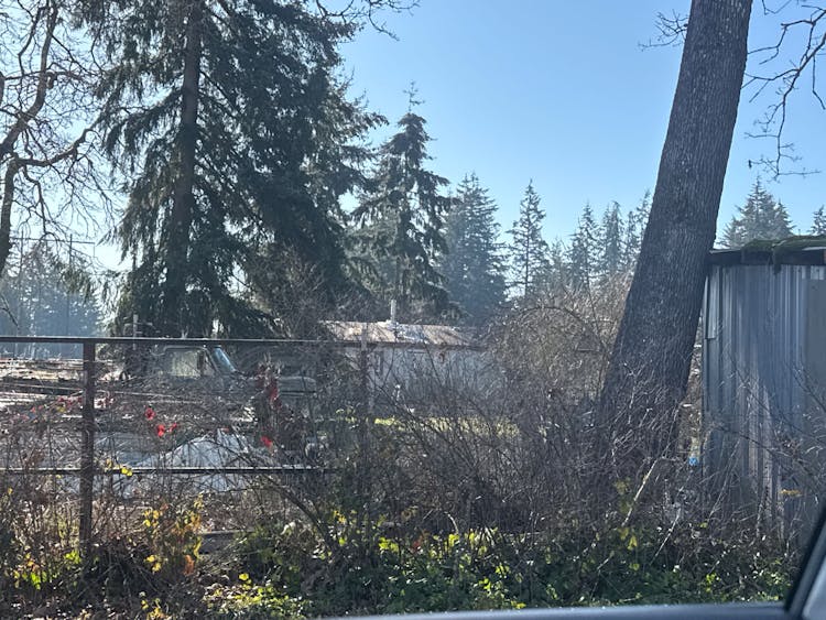 6325 203rd Avenue SW Centralia, WA 98531, Thurston County