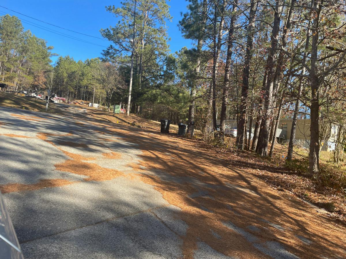 Park Pl, Villa Rica, GA 30180