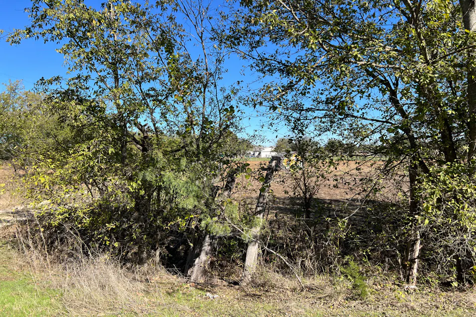 11225 Yankie Road China Spring, TX 76633, McLennan County