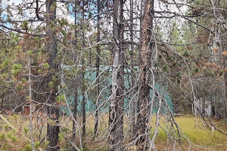 3858 Barracuda Dr Island Park, ID 83429, Fremont County