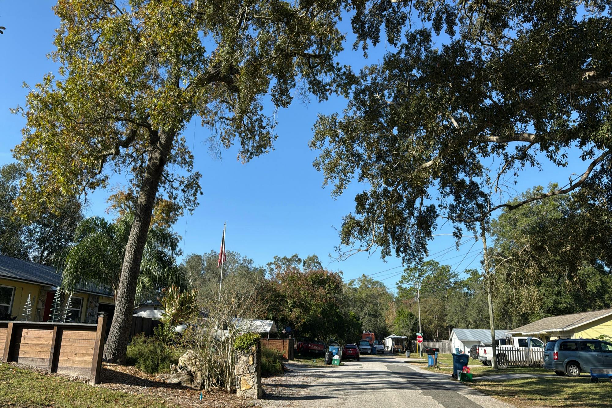 Liskeard Ave, Orange City, FL 32763 #1