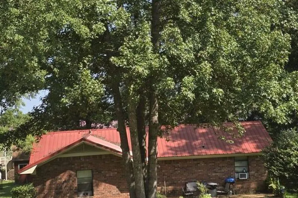 457 E Petros Rd Pearl, MS 39208, Rankin County