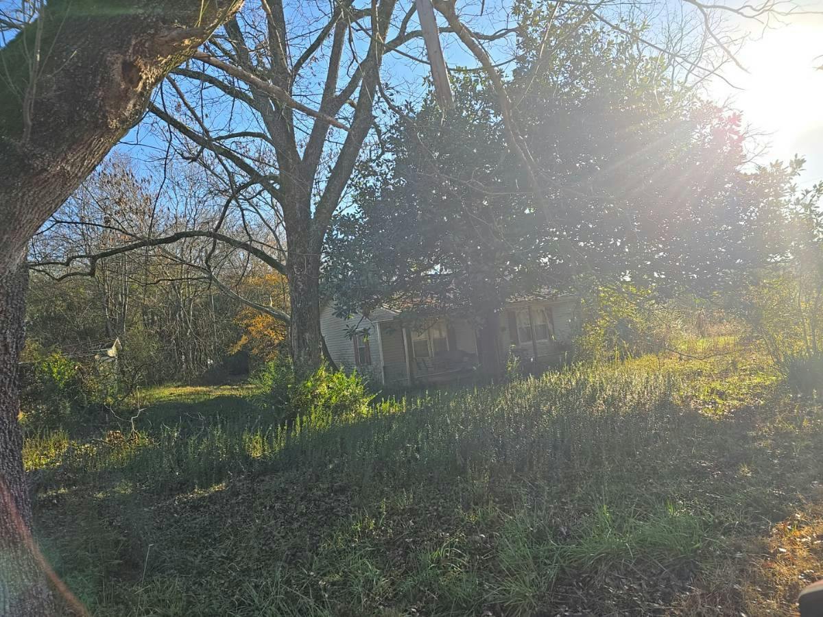 Beech Grove Rd, Haleyville, AL 35565
