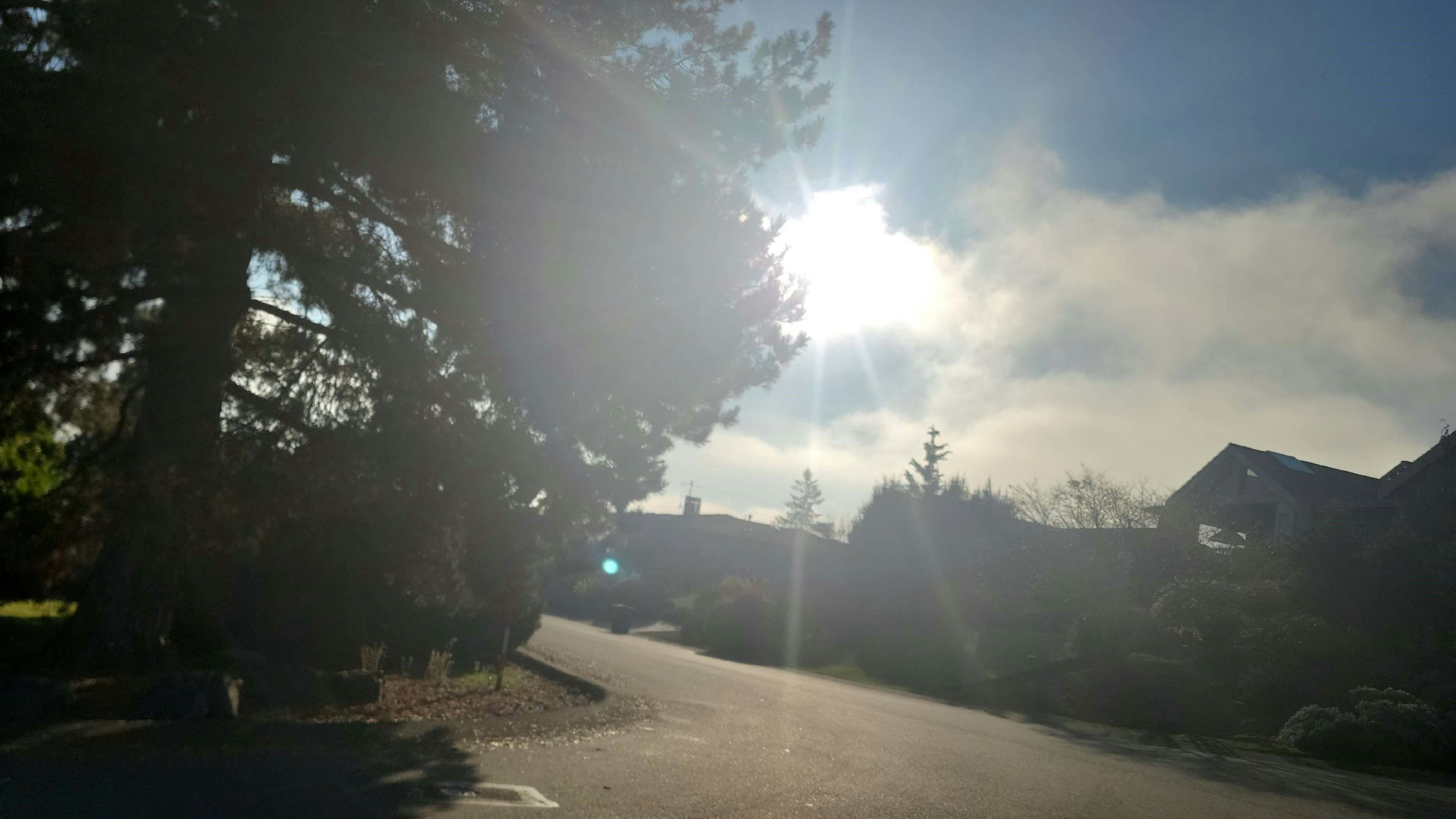 Belfair Rd, Bellevue, WA 98004
