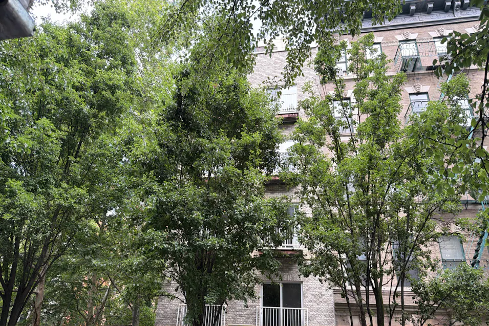221 West 148th Street New York, NY 10039, New York County