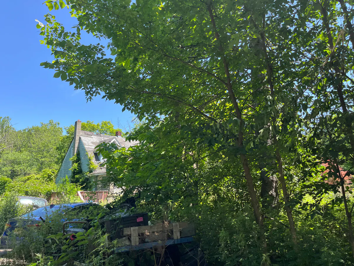 Main Rd, Hibernia, NJ 07842 #1