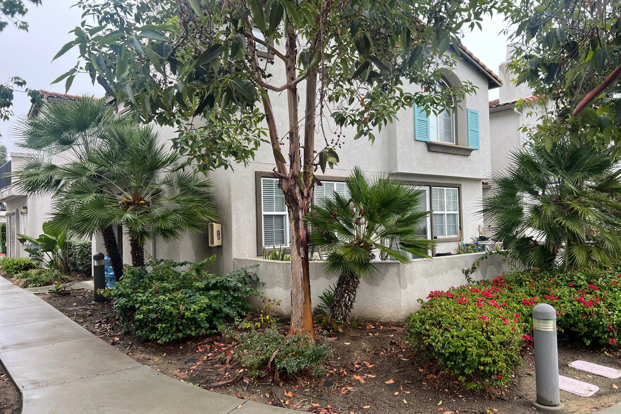 Island Way, Oceanside, CA 92058 #1