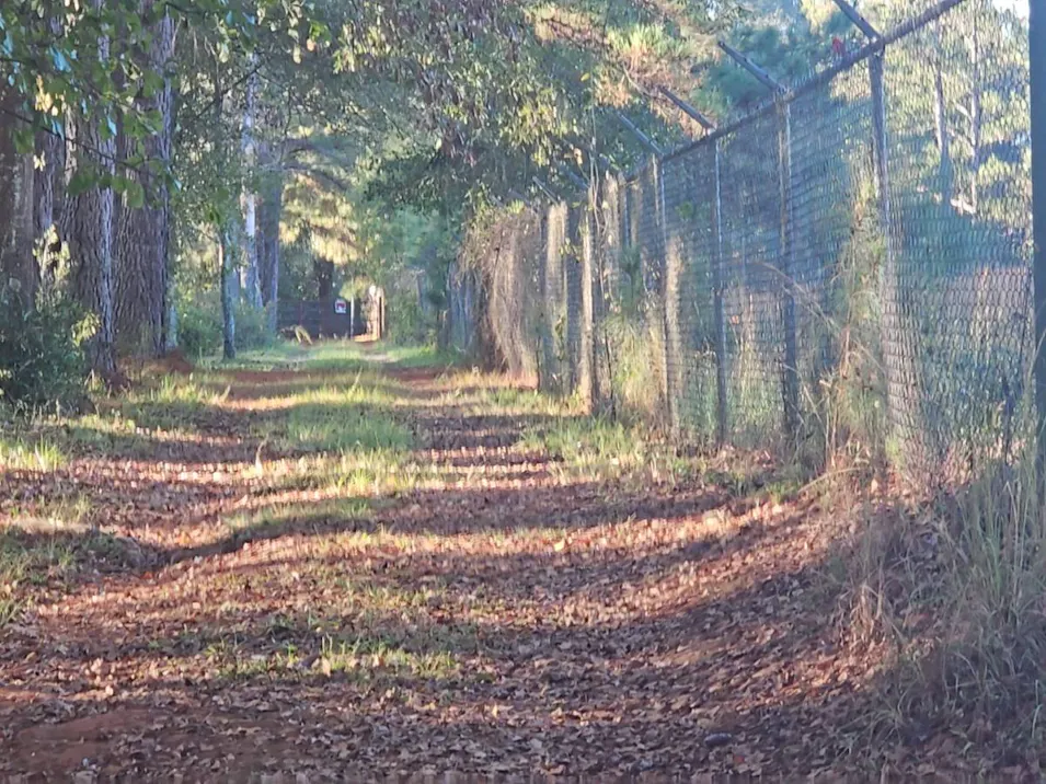 1160 Upper River Rd Americus, GA 31709, Sumter County