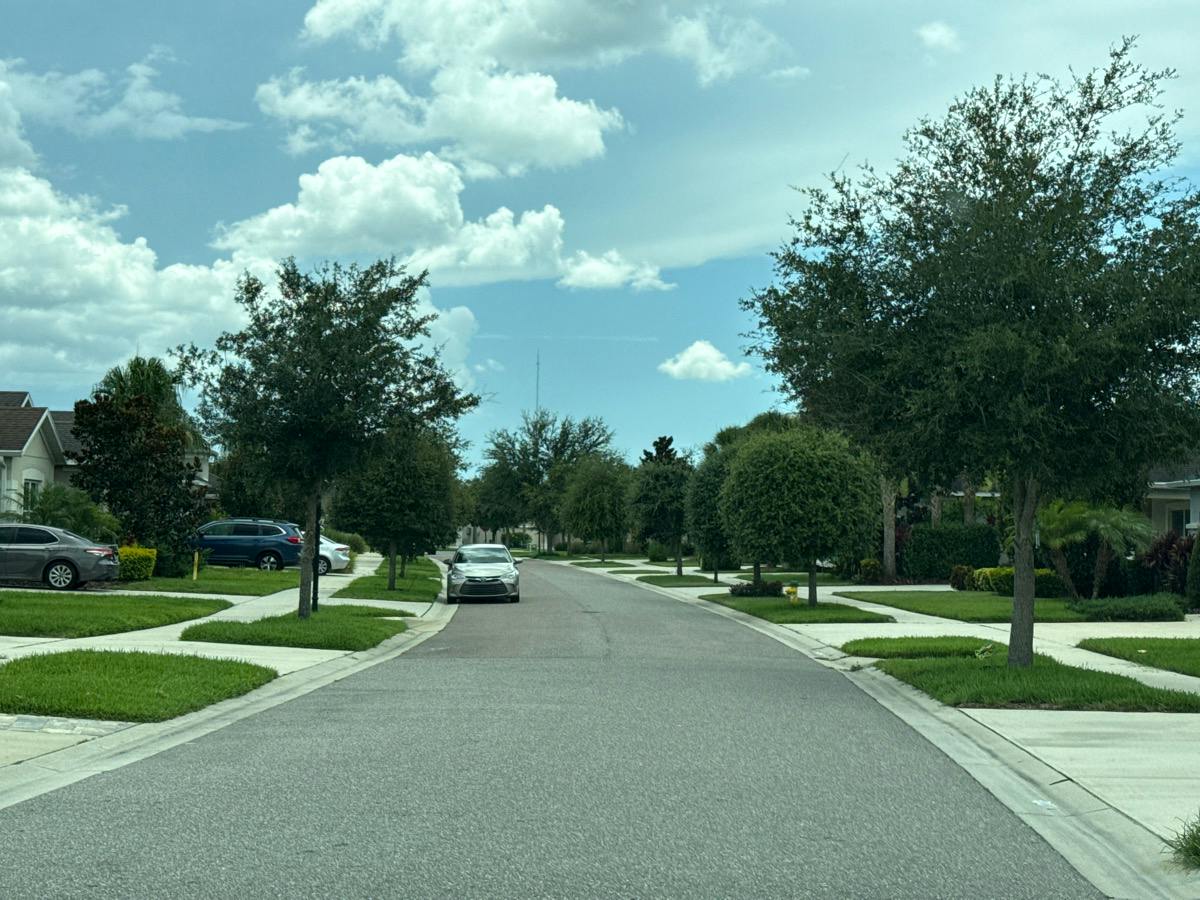 Bright Wheat Dr, Lithia, FL 33547