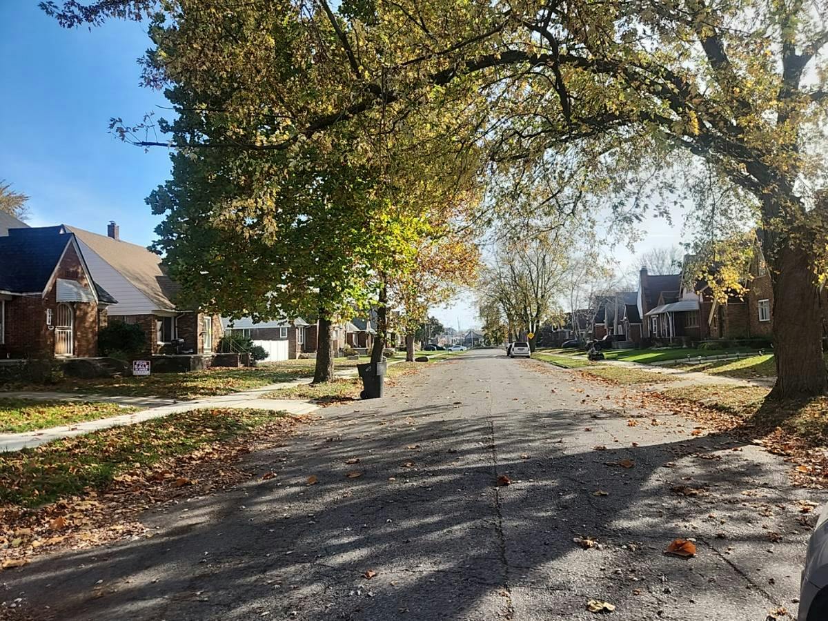 Boleyn St, Detroit, MI 48224
