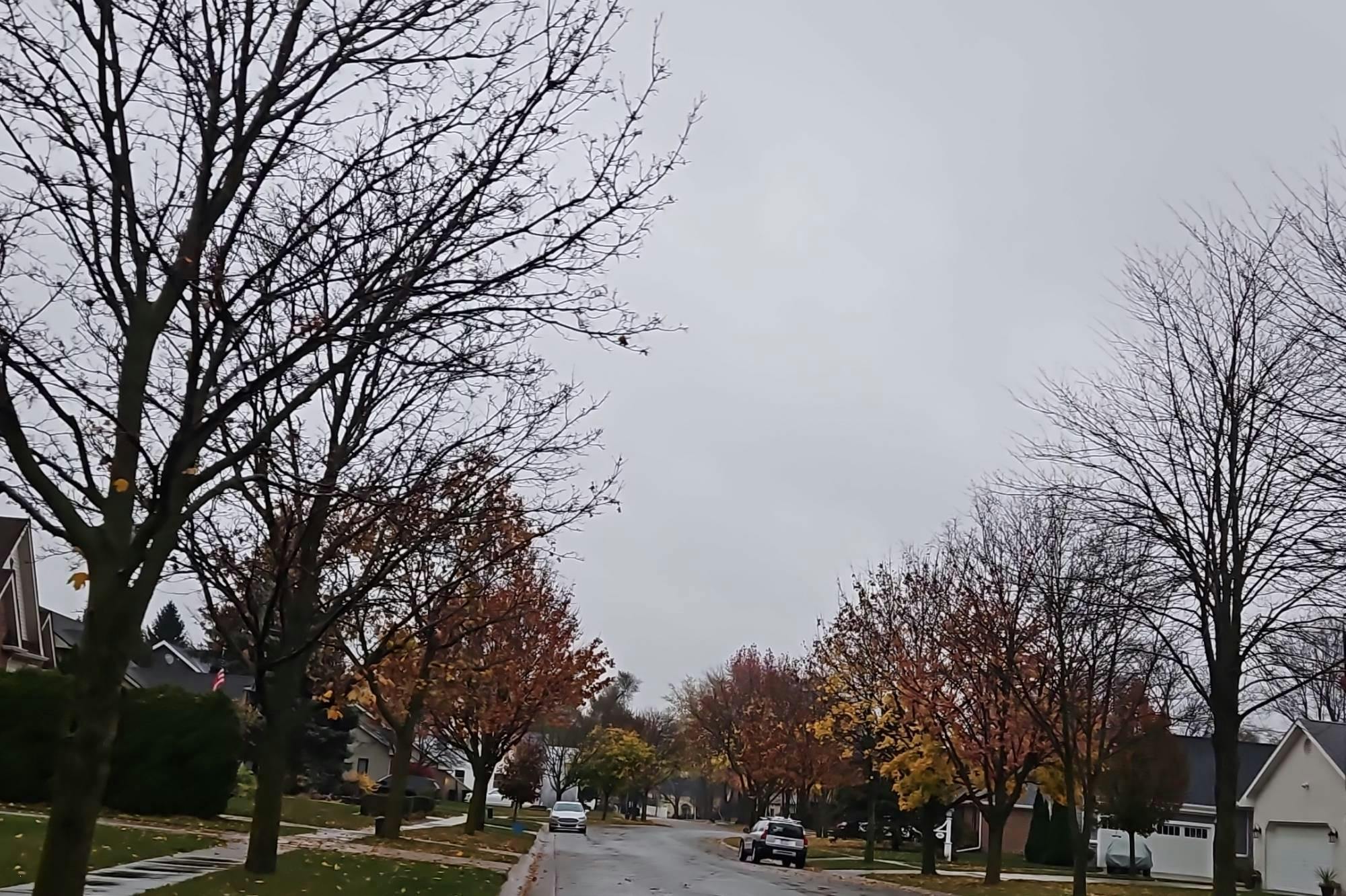 Plank St, Dundee, MI 48131