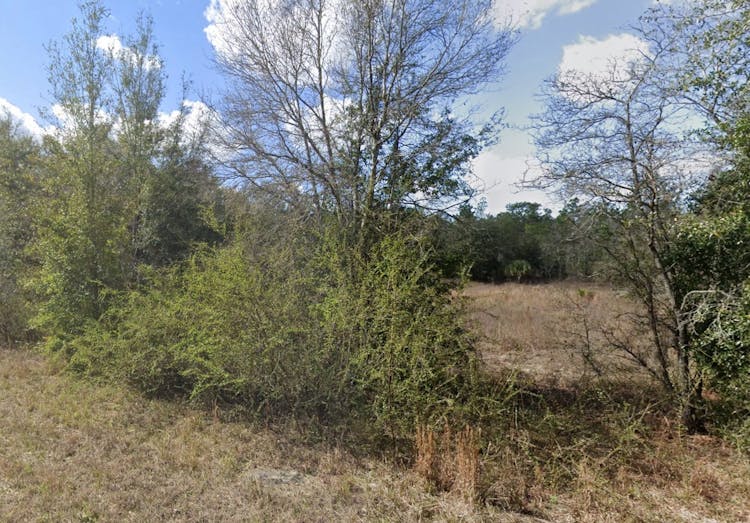 0 Earline Rd Brooksville, FL 34614, Hernando County