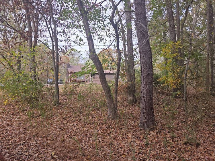 171 Phillips Forty Dr Odenville, AL 35120, St. Clair County