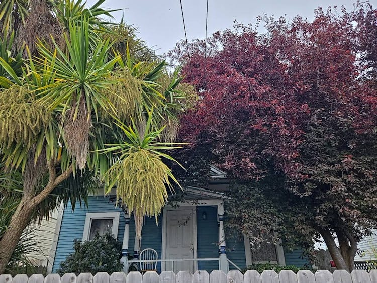 1823 California St Eureka, CA 95501, Humboldt County