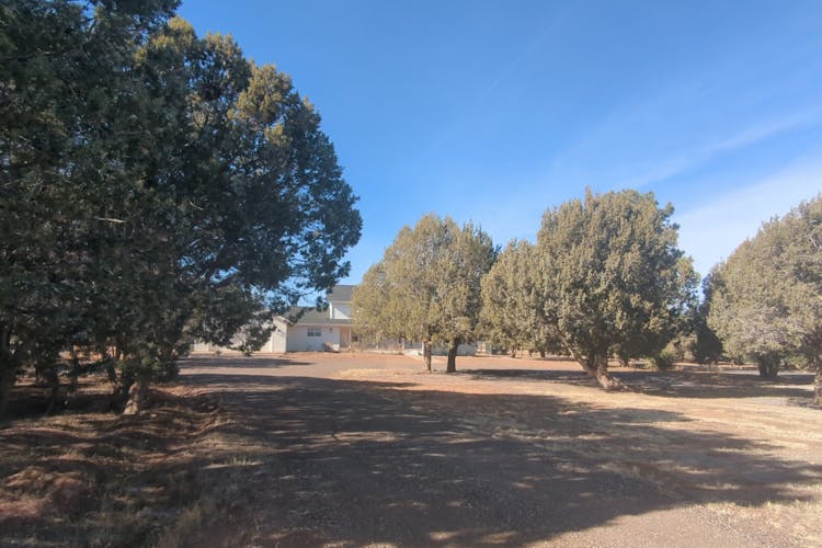 956 Wild Horse Rd Show Low, AZ 85901, Navajo County