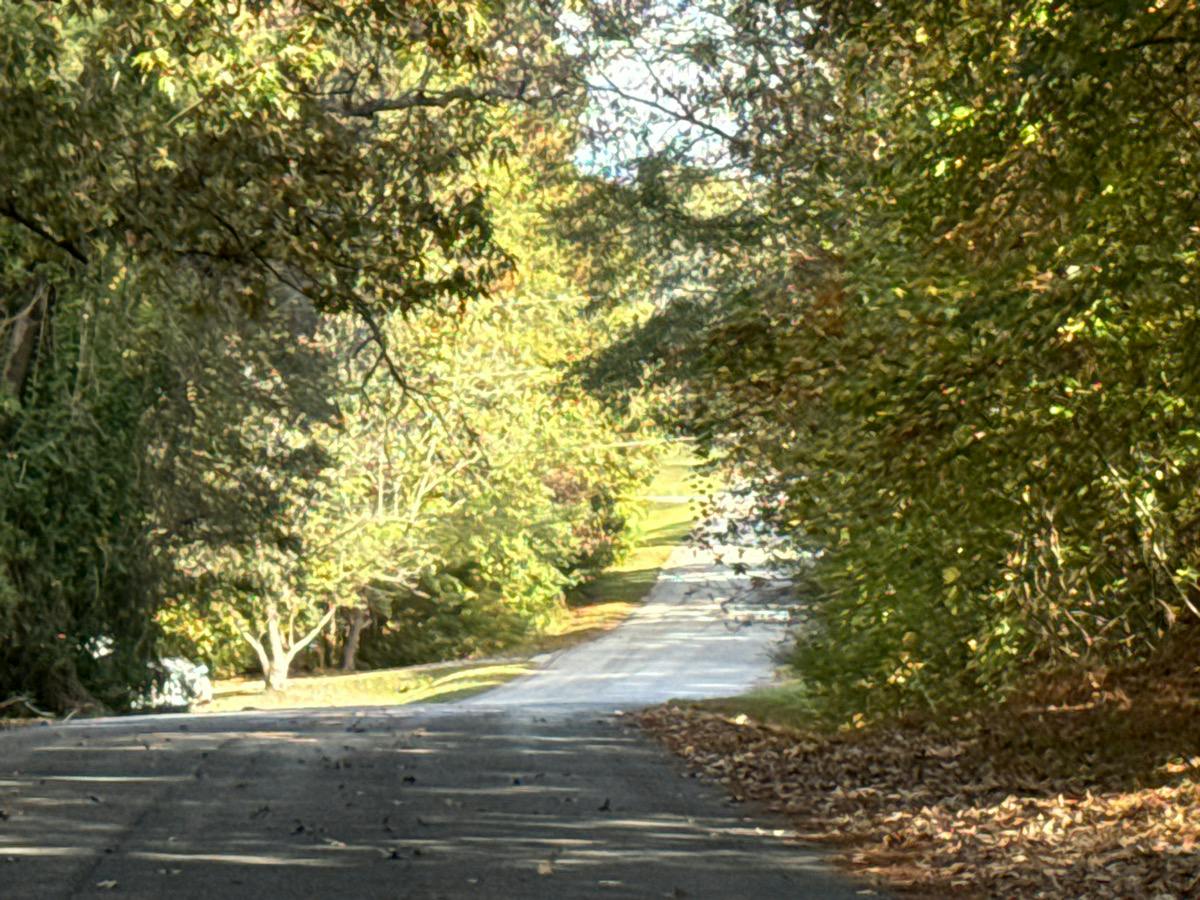Teamon Cir, Griffin, GA 30223