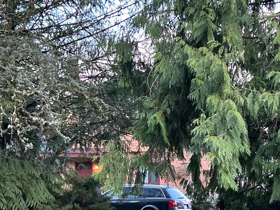 22705 163rd Avenue E Graham, WA 98338, Pierce County