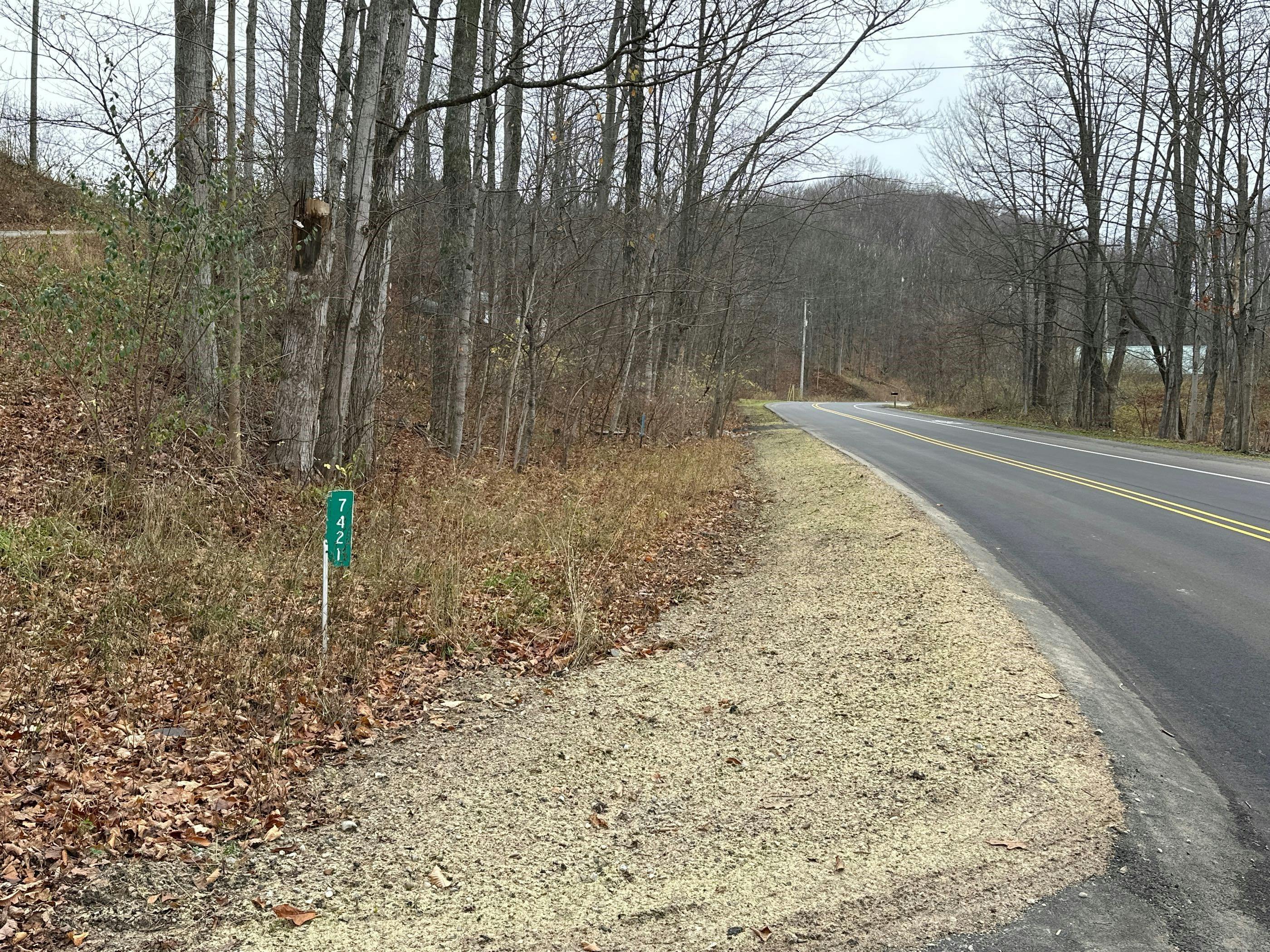 Walker St, Benzonia, MI 49616
