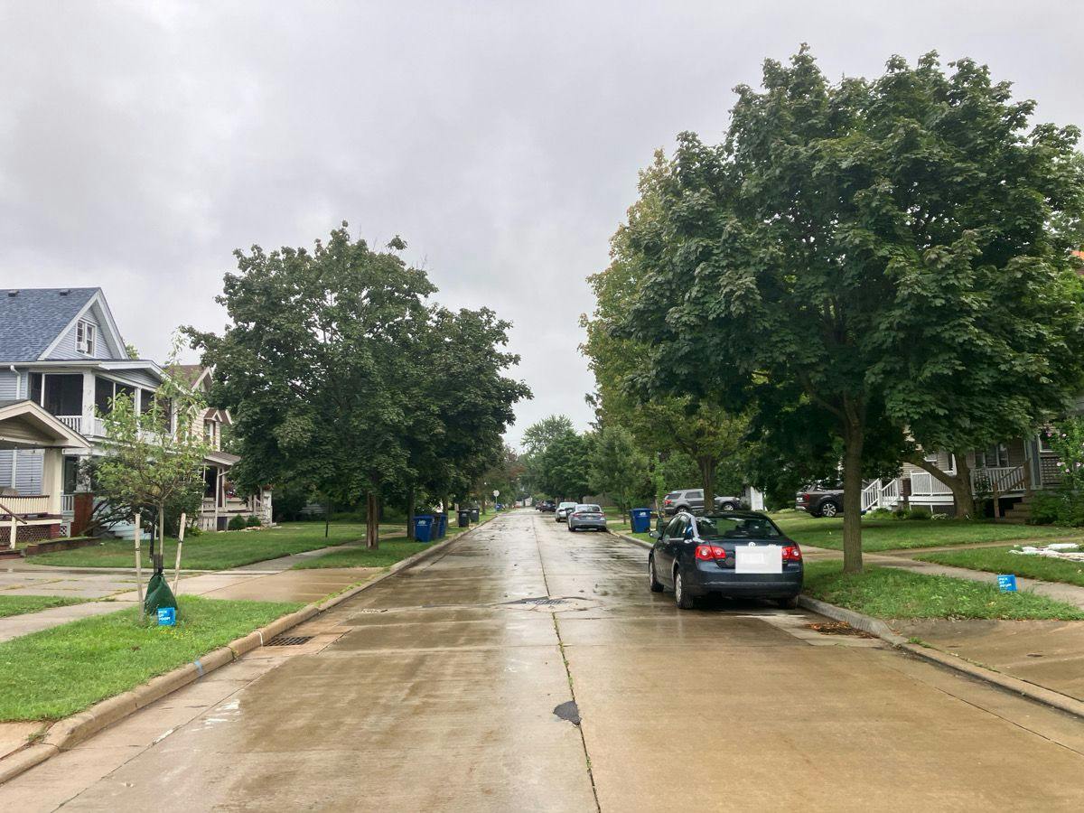 Harlon Ave, Lakewood, OH 44107