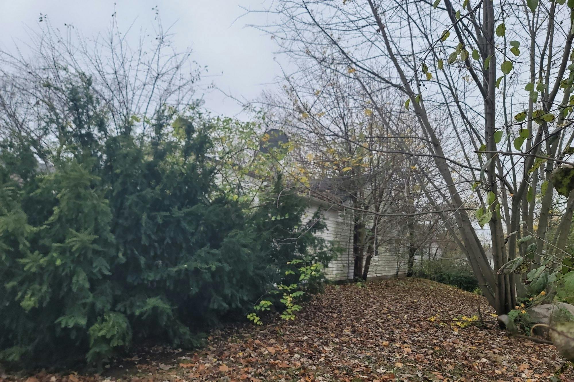 Geneva St, Woodridge, IL 60517