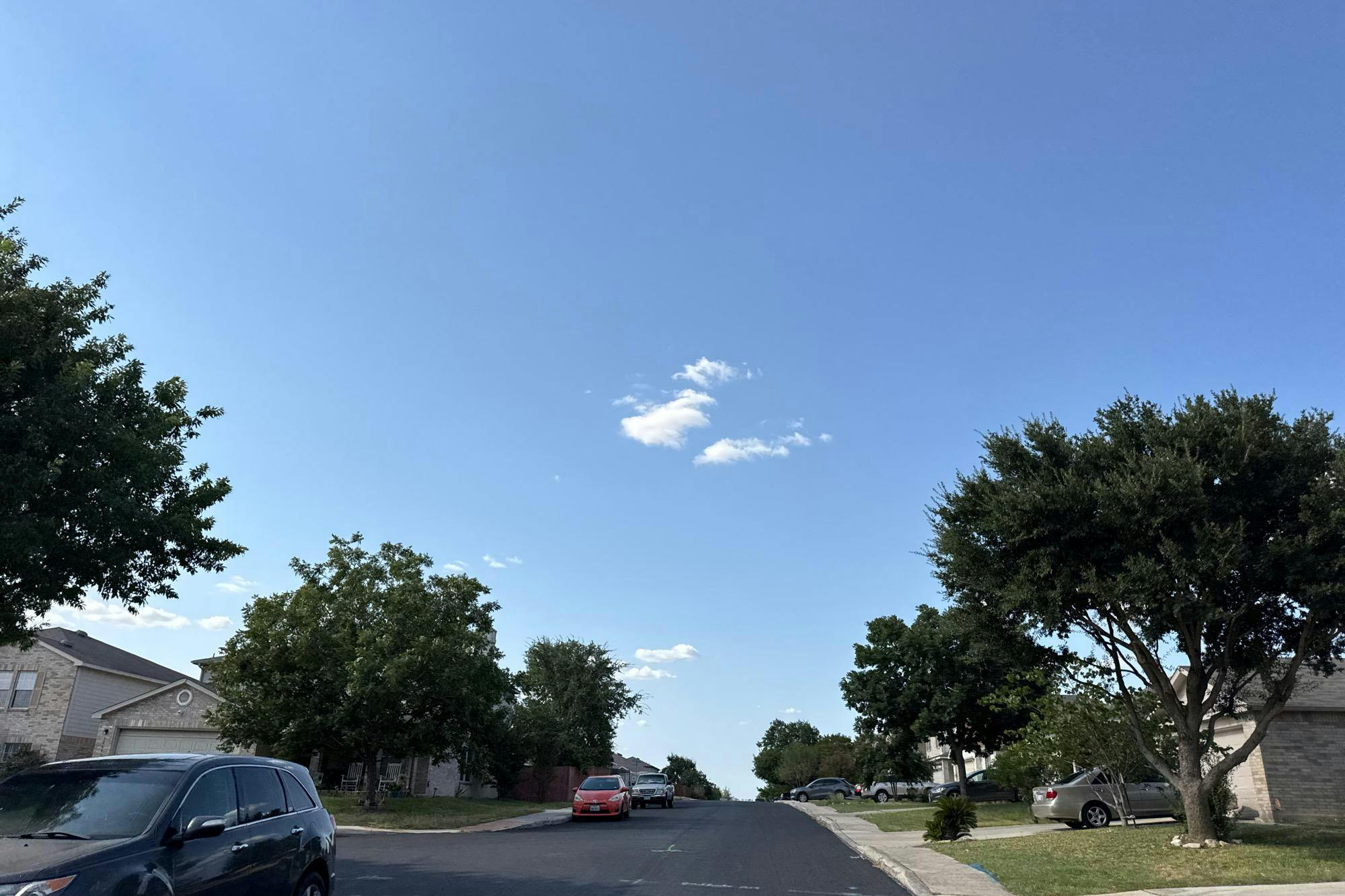 Texas Mulberry , San Antonio, TX 78253
