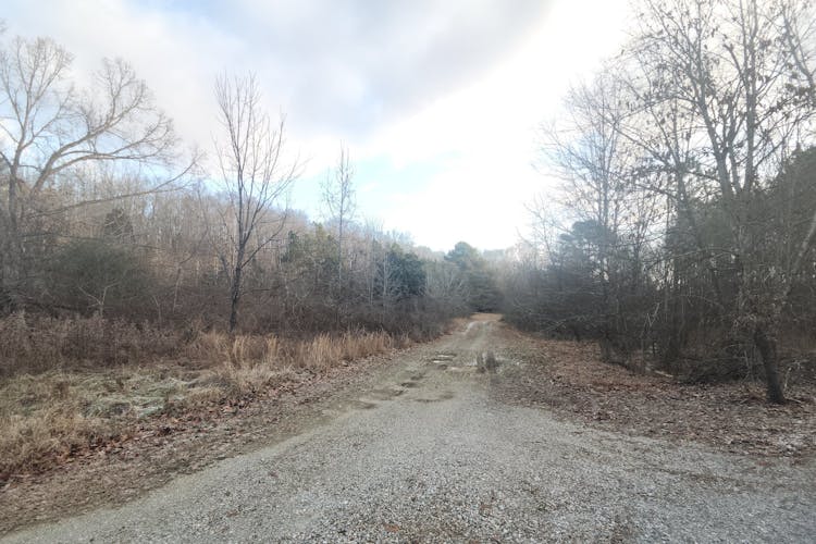 1180 Freeland Road Buchanan, TN 38222, Henry County