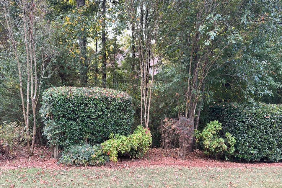 1201 Woodlands Way Hoover, AL 35080, Shelby County