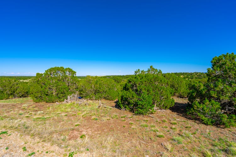 119 Navajo Ranch Resorts #4 Walsenburg, CO 81089, Huerfano County