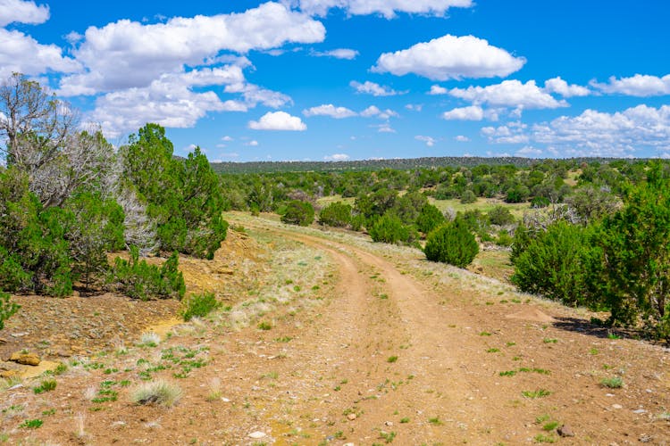 722 Rio Colorado Place Walsenburg, CO 81089, Huerfano County