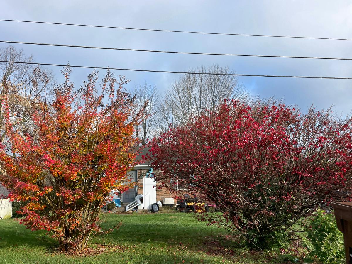 Overland Dr, Richmond, KY 40475